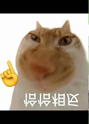 心上人英文