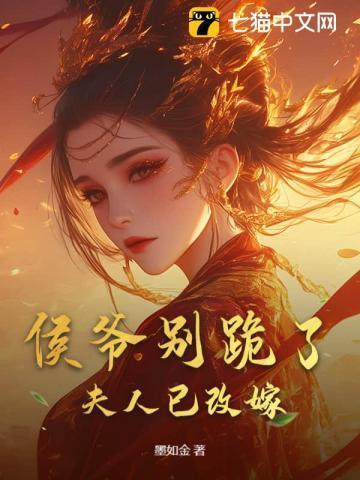 机械传说之魂印 易容术九