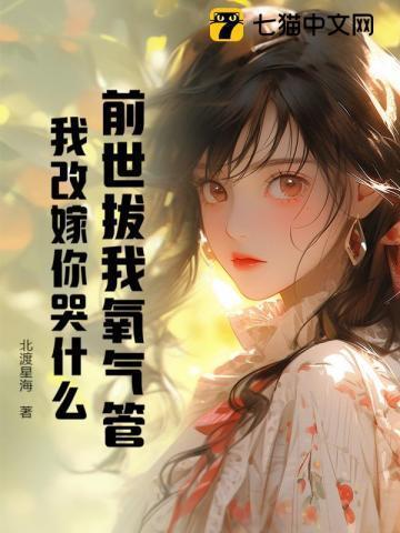 机械传说之魂印剧透