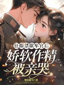 改嫁随军生三宝大结局