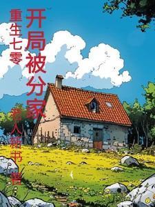四合院 主角何雨轩