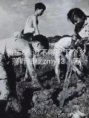 回到八零父母离婚后全文免费阅读