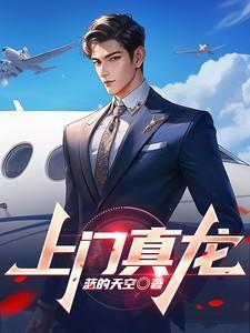 疯狂的作家碟之灵