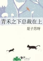 离婚后夫人给总裁挂男科了池晚霍司寒