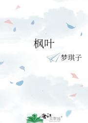 明末风云汉王重征天下  免费