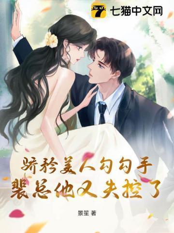 冷王弃妃讲的是什么