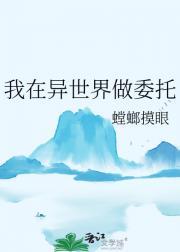 一叶倾晴讲的什么