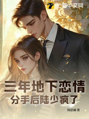 三年地下恋情,分手后陆少疯了