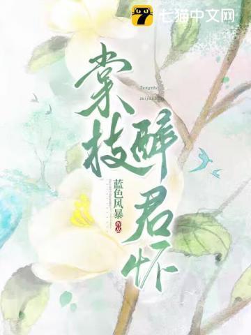 糙汉军爷宠上天完整版