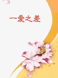 覆面十三刀金刚圈讲的什么