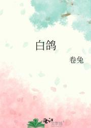 白鸽