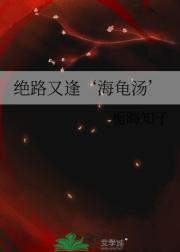 金婚计划廿