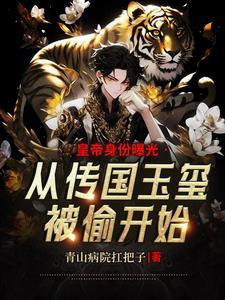 皇帝身份曝光从传国玉玺被偷开始
