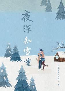 夏梦狂诗曲大结局是什么
