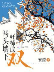 魔法庄园动画片