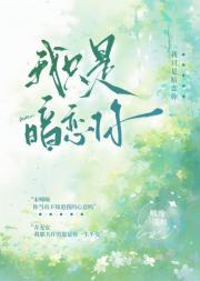再见了家庭教师主要讲了什么