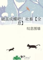 火影之风的羁绊免费阅读
