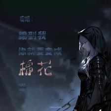 海贼开局收藏妮可罗宾免费