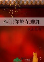 来不及说我爱你玄天