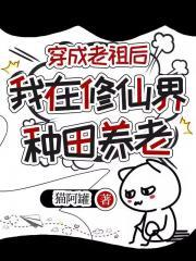 宁妃武氏家世