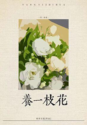 虞晚傅祁晏