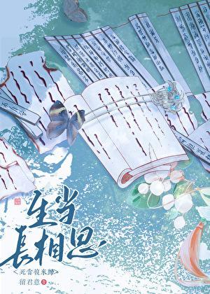 洪荒我北海玄龟绝不补天