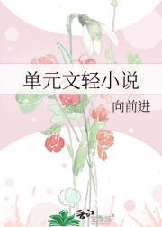 单元文轻小说
