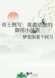 黄袍加身你是谁