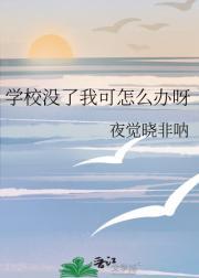 有染(军婚)/叶落淮南讲了什么