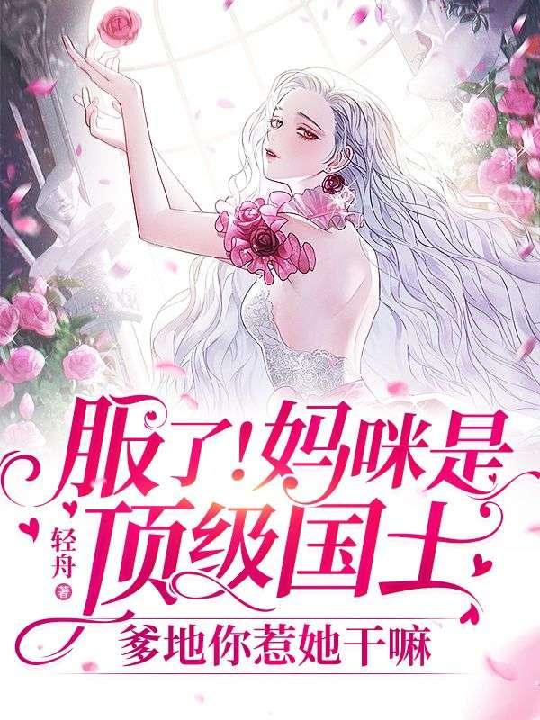 主角镇守边关的