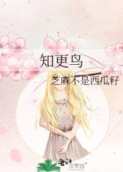 星光璀璨2017群星演唱会