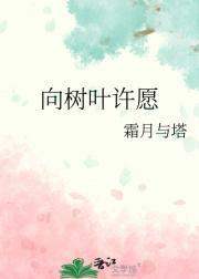 葬仙棺境界划分