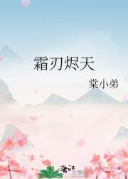 霜刃烬天