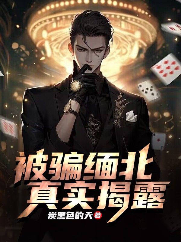 局外人简介