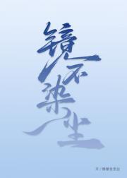 镜不染尘