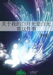 一切从相遇开始好不好看