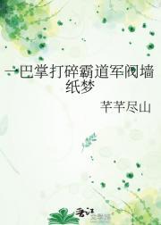 摘星楼系列锁情