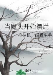 此男与彼男的似水年华结局