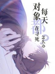 柏林道风云讲什么