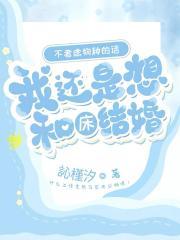 类似风雨波兰街里的受