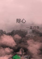 辩心