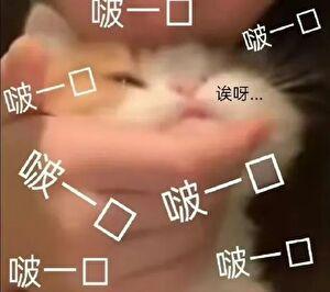 图南