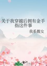 关于我穿越后拥有金手指这件事
