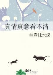 重生八零年代翻译官军嫂