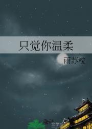 老婆倒追的