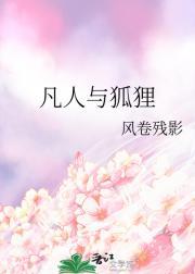 杀戮都市电影