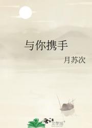 重生红楼之环三爷 作者风流书呆