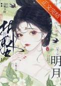 恋爱满分设计论全文阅读