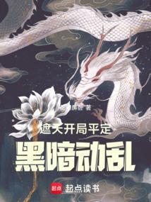 阿麦从军好看吗