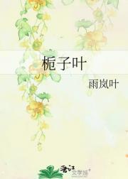 栀子叶